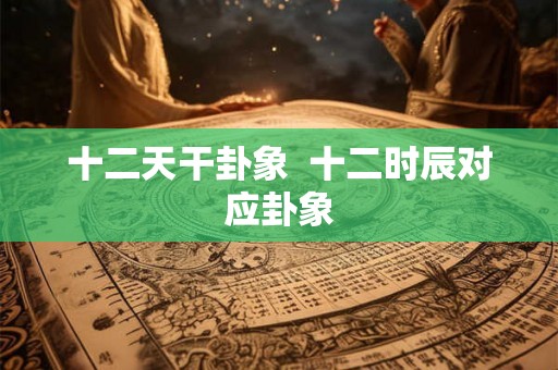 十二天干卦象  十二时辰对应卦象