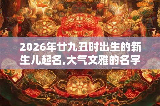 2026年廿九丑时出生的新生儿起名,大气文雅的名字