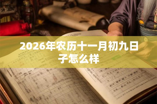2026年农历十一月初九日子怎么样