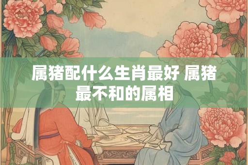 属猪配什么生肖最好 属猪最不和的属相