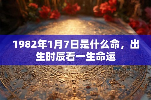 1982年1月7日是什么命，出生时辰看一生命运