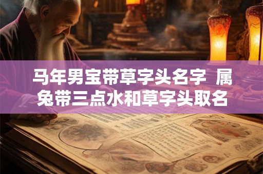 马年男宝带草字头名字  属兔带三点水和草字头取名
