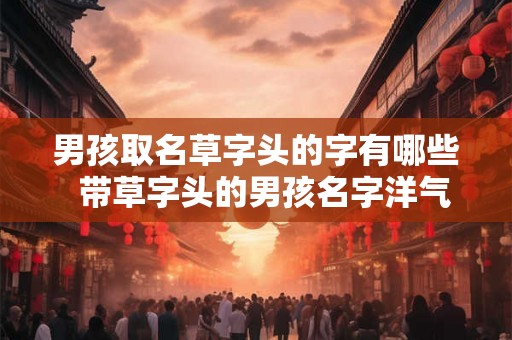 男孩取名草字头的字有哪些  带草字头的男孩名字洋气