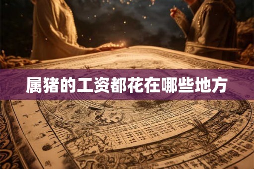 属猪的工资都花在哪些地方