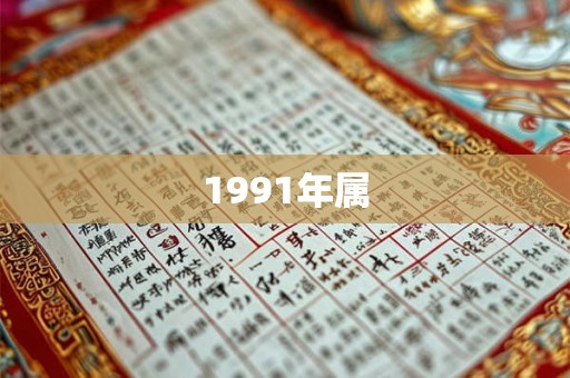 1991年属