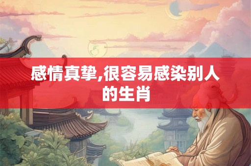 感情真挚,很容易感染别人的生肖