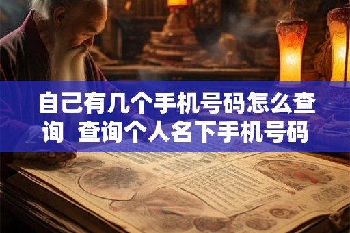 自己有几个手机号码怎么查询  查询个人名下手机号码