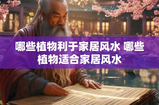 哪些植物利于家居风水 哪些植物适合家居风水