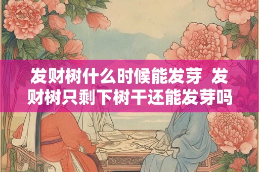 发财树什么时候能发芽  发财树只剩下树干还能发芽吗