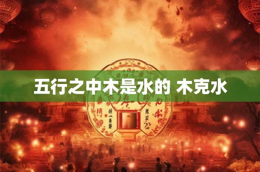 五行之中木是水的 木克水 五行之中木是水的 木克水