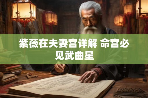 紫薇在夫妻宫详解 命宫必见武曲星