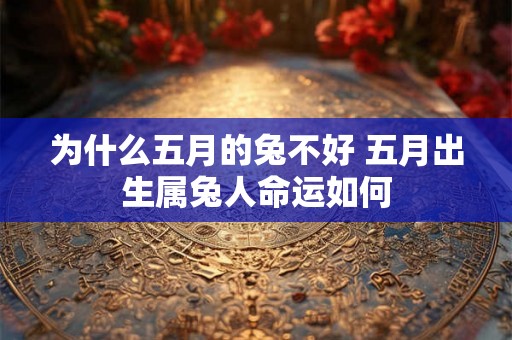 为什么五月的兔不好 五月出生属兔人命运如何
