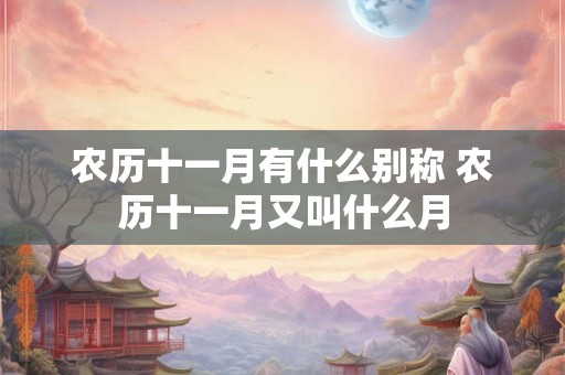 农历十一月有什么别称 农历十一月又叫什么月