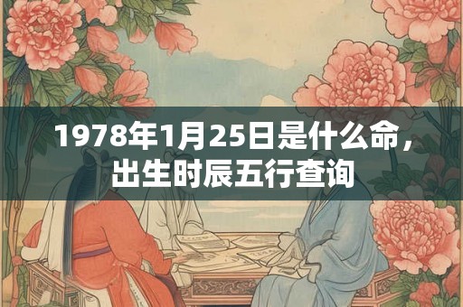 1978年1月25日是什么命，出生时辰五行查询