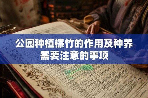 公园种植棕竹的作用及种养需要注意的事项