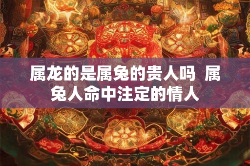 属龙的是属兔的贵人吗  属兔人命中注定的情人