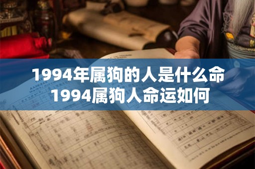 1994年属狗的人是什么命 1994属狗人命运如何