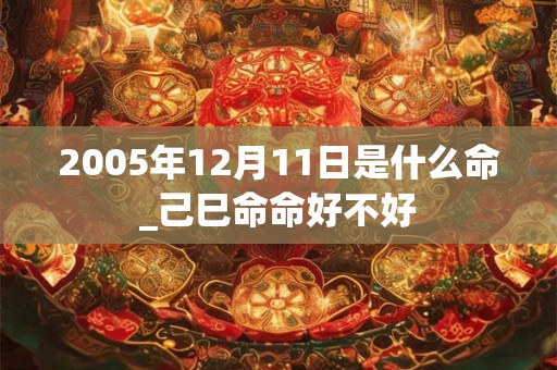 2005年12月11日是什么命_己巳命命好不好