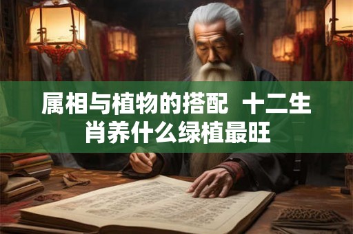 属相与植物的搭配 十二生肖养什么绿植最旺 属相与植物的搭配 十二生肖养什么绿植最旺