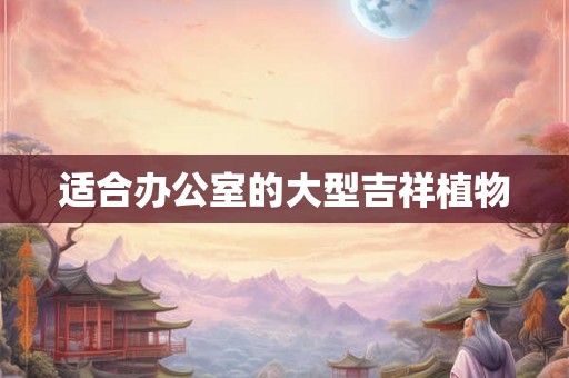 适合办公室的大型吉祥植物