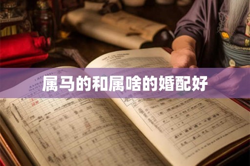 属马的和属啥的婚配好