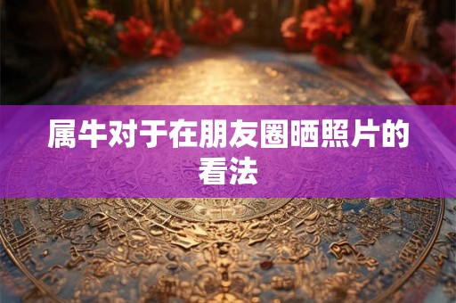 属牛对于在朋友圈晒照片的看法