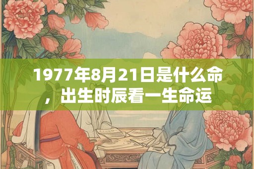 1977年8月21日是什么命，出生时辰看一生命运