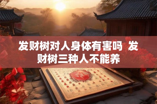 发财树对人身体有害吗  发财树三种人不能养