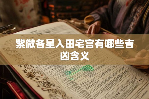 紫微各星入田宅宫有哪些吉凶含义