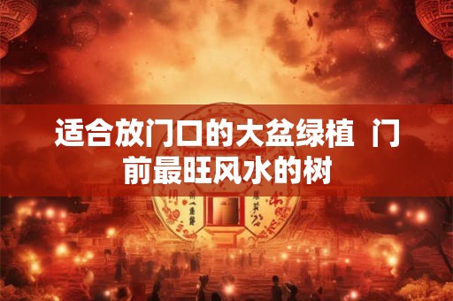 适合放门口的大盆绿植  门前最旺风水的树