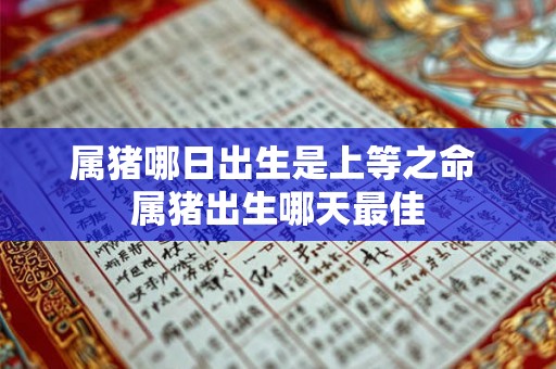 属猪哪日出生是上等之命 属猪出生哪天最佳