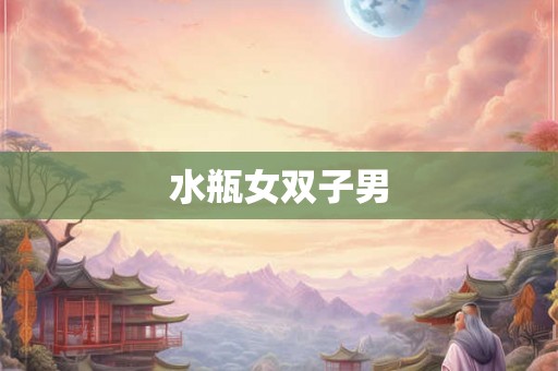 水瓶女双子男