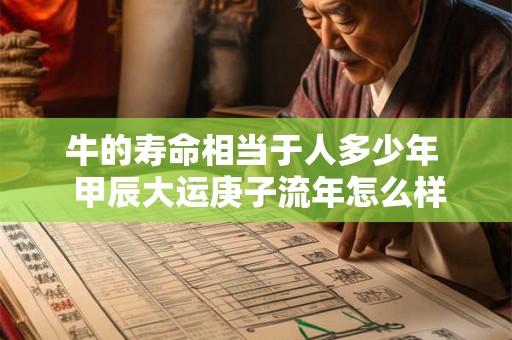 牛的寿命相当于人多少年 甲辰大运庚子流年怎么样 牛的寿命相当于人多少年 甲辰大运庚子流年怎么样