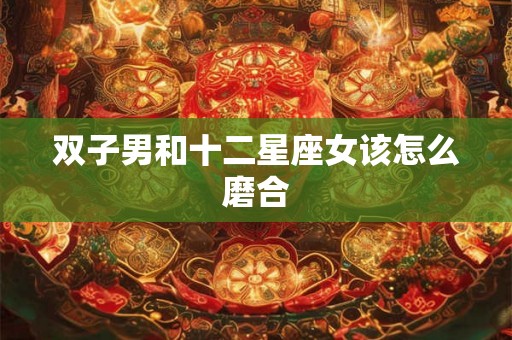 双子男和十二星座女该怎么磨合