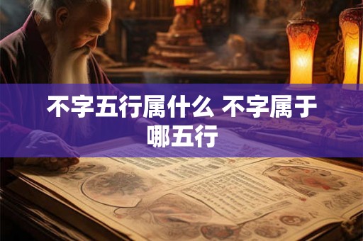 不字五行属什么 不字属于哪五行 不字五行属什么 不字属于哪五行