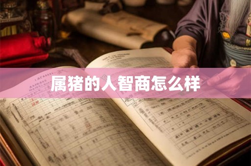 属猪的人智商怎么样 属猪的人智商怎么样