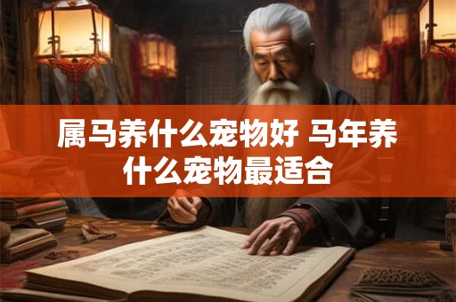 属马养什么宠物好 马年养什么宠物最适合