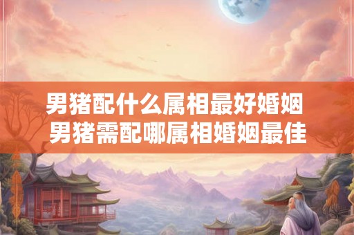 男猪配什么属相最好婚姻 男猪需配哪属相婚姻最佳