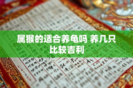 属猴的适合养龟吗 养几只比较吉利