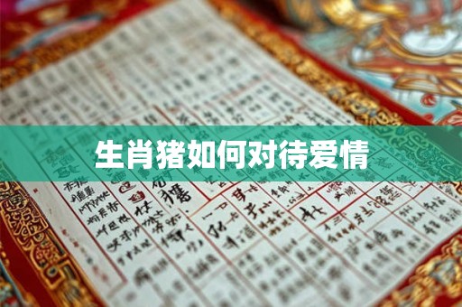 生肖猪如何对待爱情