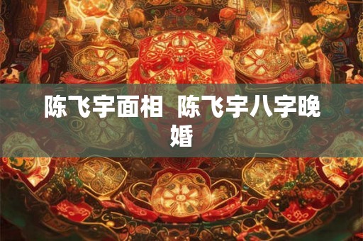 陈飞宇面相  陈飞宇八字晚婚