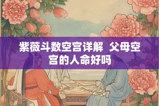 紫薇斗数空宫详解  父母空宫的人命好吗