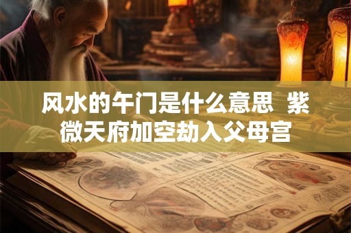 风水的午门是什么意思  紫微天府加空劫入父母宫