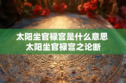 太阳坐官禄宫是什么意思 太阳坐官禄宫之论断