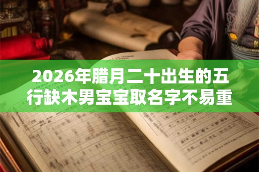 2026年腊月二十出生的五行缺木男宝宝取名字不易重复