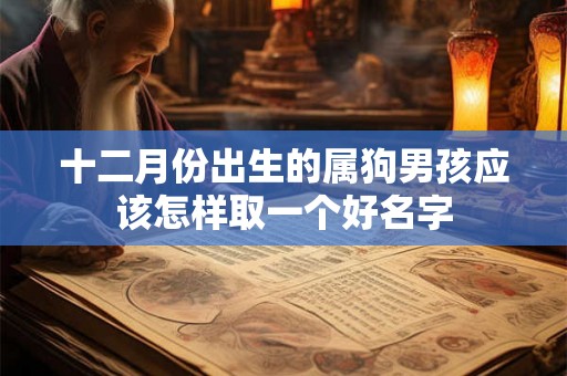 十二月份出生的属狗男孩应该怎样取一个好名字