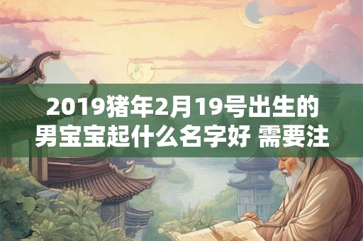 2019猪年2月19号出生的男宝宝起什么名字好 需要注意什么