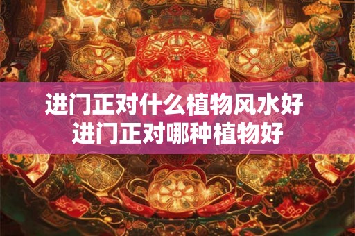 进门正对什么植物风水好 进门正对哪种植物好