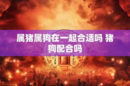 属猪属狗在一起合适吗 猪狗配合吗