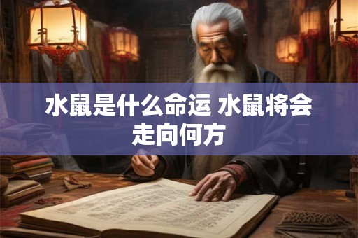 水鼠是什么命运 水鼠将会走向何方 水鼠是什么命运 水鼠将会走向何方
